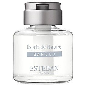 Nước thơm cao cấp dùng cho xe hơi nhãn hiệu Esteban- Mùi hương cây tre