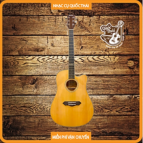 Mua Đàn Guitar Acoustic Dallas DL-Q41