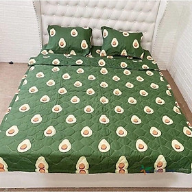 Mua set ga + 2 vỏ gối poly cotton m6/m8( được chọn mẫu )
