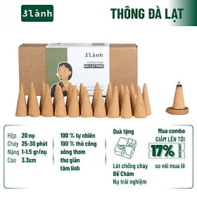Nụ Thủ Công Thông Đà Lạt 3 Lành Hộp 20 Mùi 100 % Tự Nhiên Tặng Kèm Đế Chăm, Không Hóa Chất Xông Thơm