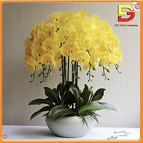 Mua Bình Hoa Lan Hồ Điệp Cao Cấp Chậu Hoa Để Bàn Chất Liệu Cao Su Sang Trọng Trang Trí Nhà Cửa DG-123