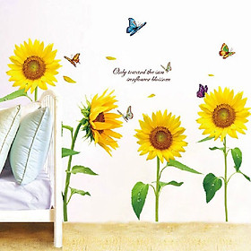 Decal dán tường Hoa hướng dương AmyShop DH026