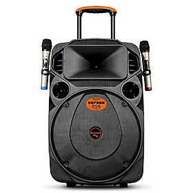 Mua Loa kéo di động 2 tấc Sansui A8-21. Công suất khủng  giá tốt - Kèm 2 micro không dây tiện lợi khi du lịch  sinh nhật ...