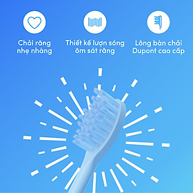 Bộ 2 Đầu thay thế bàn chải điện ZenyumSonic Spark
