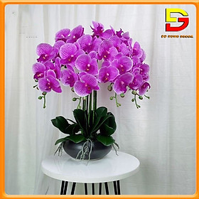 Mua Hoa Lụa Chậu Hoa Lan Hồ Điệp Cao Cấp Mix Màu 12 Cành Decor Trang Trí Nhà Cửa DG-174