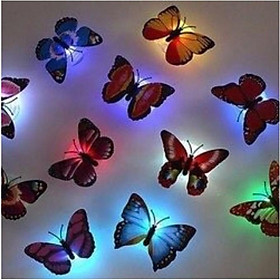 Mua Đèn led  đèn ngủ dán tường con bướm phát sáng cực đẹp  UMS3459