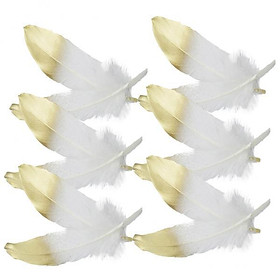 2-3pack 12 Pieces Natural Goose Feather DIY Craft Accessories 15-20cm White and