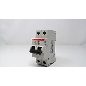 Mua Cầu dao tự động 2 pha 20a S202P-C20  2CDS282001R0204