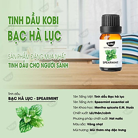 Mua Tinh Dầu Bạc Hà Lục Kobi Nguyên Chất Dùng Xông Phòng  Giúp Đuổi Chuột  Khử Mùi Hiệu Quả