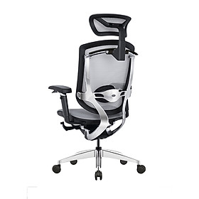 Mua Ghế Ergonomic Công Thái Học GTChair Marrit X Lưới Xám Tay cầm 5D - Bản 2022