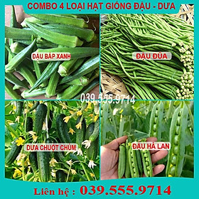 Combo 4 Loại Hạt Giống Dưa Chuột & Đậu Các Loại ( Đậu Bắp Xanh - Đậu Đũa - Đậu Hà Lan - Dưa Chuột Mini Chùm)