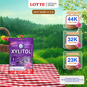 Kẹo Gum không đường Lotte Xylitol - Hương Blueberry Mint 159,5 g