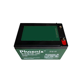 Bình Ắc Quy Khô PHOENIX TS12140 12V-14AH Dùng Cho UPS, Loa Kéo, Bình Phun Thuốc Sâu, Cửa Cuốn
