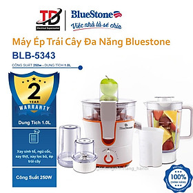 Máy Xay Ép Trái Cây Đa Năng Bluestone BLB-5343 - Hàng Chính Hãng