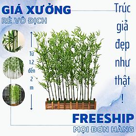 Mua Combo 20 cây trúc giả - 200 cm nhiều lá và 4 chậu nhựa hàng rào - Cây giả  hoa lụa Decor trang trí nhà cửa