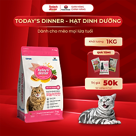 [1KG] - Thức ăn hạt cho mèo mọi lứa tuổi Today's dinner
