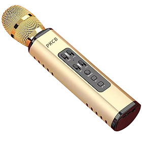 Micro Karaoke Bluetooth Không Dây Kèm loa Chất Lượng PKCB - Hàng chính hãng