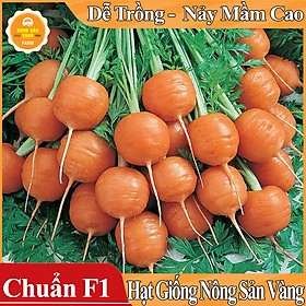 Hạt giống Cà Rốt Củ Tròn ( 0,5 Gram )