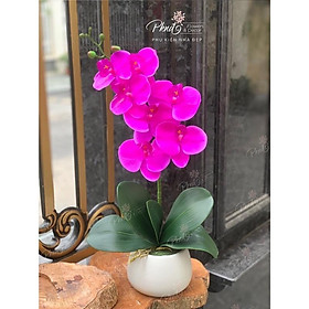 Mua CHẬU LAN CAO SU DECOR SIÊU ĐẸP (giá như trên gồm cây lan kèm chậu như ảnh)