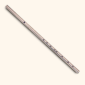 Mua Sáo inox âm cực chuẩn tone Đô C5