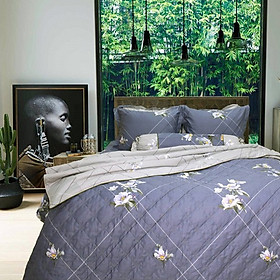 Bộ chăn ga gối drap giường cotton satin Hàn Quốc Julia 401 - 4 món không Chăn