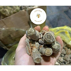 Mua Củ Tam Thất Bắc Đặc Sản Tây Bắc