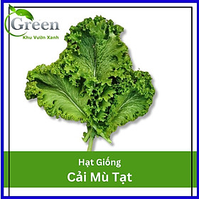 Mua Hạt Giống Cải Mù Tạt Chịu Hạn