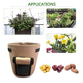 GROW GREEN BAG Chậu trồng cây, khoai củ vì môi trường 30x35cm (Bộ 2 chậu) - Home and Garden