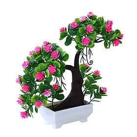 Chậu Cây Giả Trang Trí
