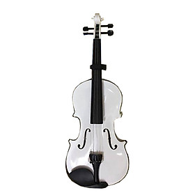 Đàn Violin -15W size 4/4 màu trắng đen