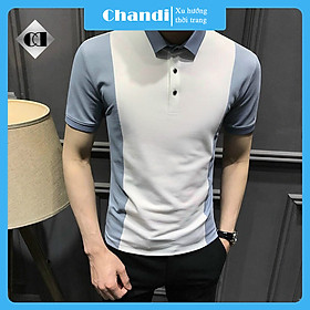 Áo Thun Polo Nam Tay Ngắn Unisex thương hiệu Chandi thiết kế cố bẻ thêu không bong tróc khi giặt PLN7