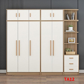 Tủ quần áo thiết kệ hiện đại - Tủ quần áo gỗ MDF TA12