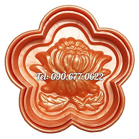 Mua Khuôn ép xôi hoa mai 5 cánh nhụy hoa cúc – Loại 16 cm – Mã số 1352