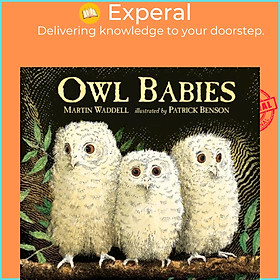 Sách - Owl Babies by Patrick Benson (UK edition, boardbook)