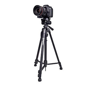 Mua Chân máy chụp ảnh chuyên nghiệp Tripod 3388