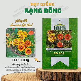 Hạt giống Hoa Cúc Huân Chương Nhiều Màu Rd 802 (0,03g~30 hạt) thân cao 20-25cm, trồng quanh năm - Hạt giống Rạng Đông