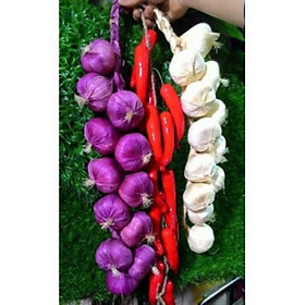 Mua Dây tỏi ớt hành trang trí lớp