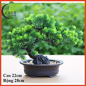 Cây thông giả, chậu cây bonsai cao 19-26cm để bàn, trang trí kệ, bàn làm việc tủ độc đáo