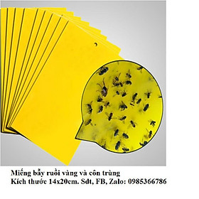 Mua 1 Miếng nhựa bẫy dính ruồi vàng và côn trùng hại hoa lan cây trồng bằng màu sắc không có hóa chất