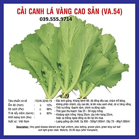 Hạt giống Cải Canh Lá Vàng Cao Sản– 20gram