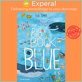 Sách - The Big Book of the Blue by Yuval Zommer (UK edition, paperback)