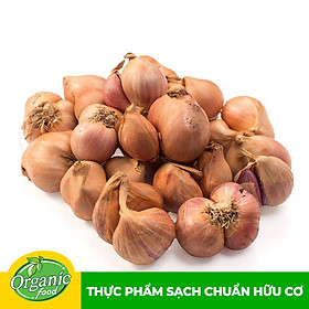 Chỉ Giao HCM - Hành Tím Nguyên Vỏ Hữu Cơ Organicfood - 200g