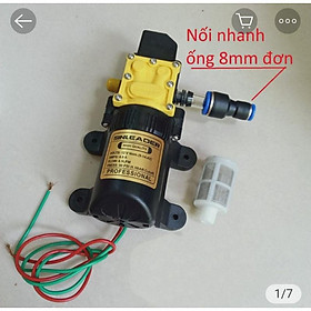 Mua Máy bơm đơn Sinleader 12V vỏ kín dùng phun sương  phun thuốc  tưới cây