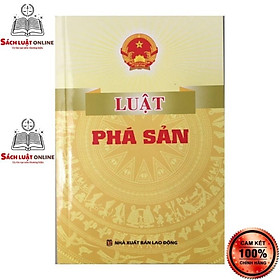 Sách - Luật phá sản năm 2022