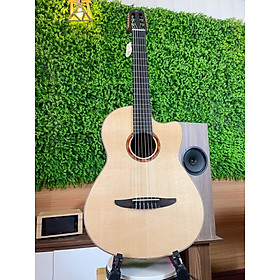 Mua Đàn Guitar Classic Yamaha NCX3