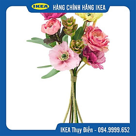 Mua Bó hoa Poppy