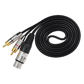 2  Phono Male To XLR 3 Pin Female Adapter Cable For Microphone Cable