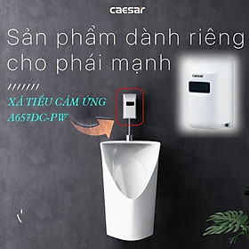 Mua Bộ Xả Tiểu Cảm Ứng Nam CAESAR A657DC-PW - Cảm ứng không chạm hiện đại an toàn