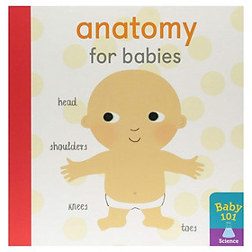 Anatomy For Babies (Baby 101)