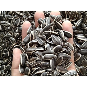200Gram HẠT HƯỚNG DƯƠNG CHO TẤT CẢ CÁC DÒNG VẸT NHỠ